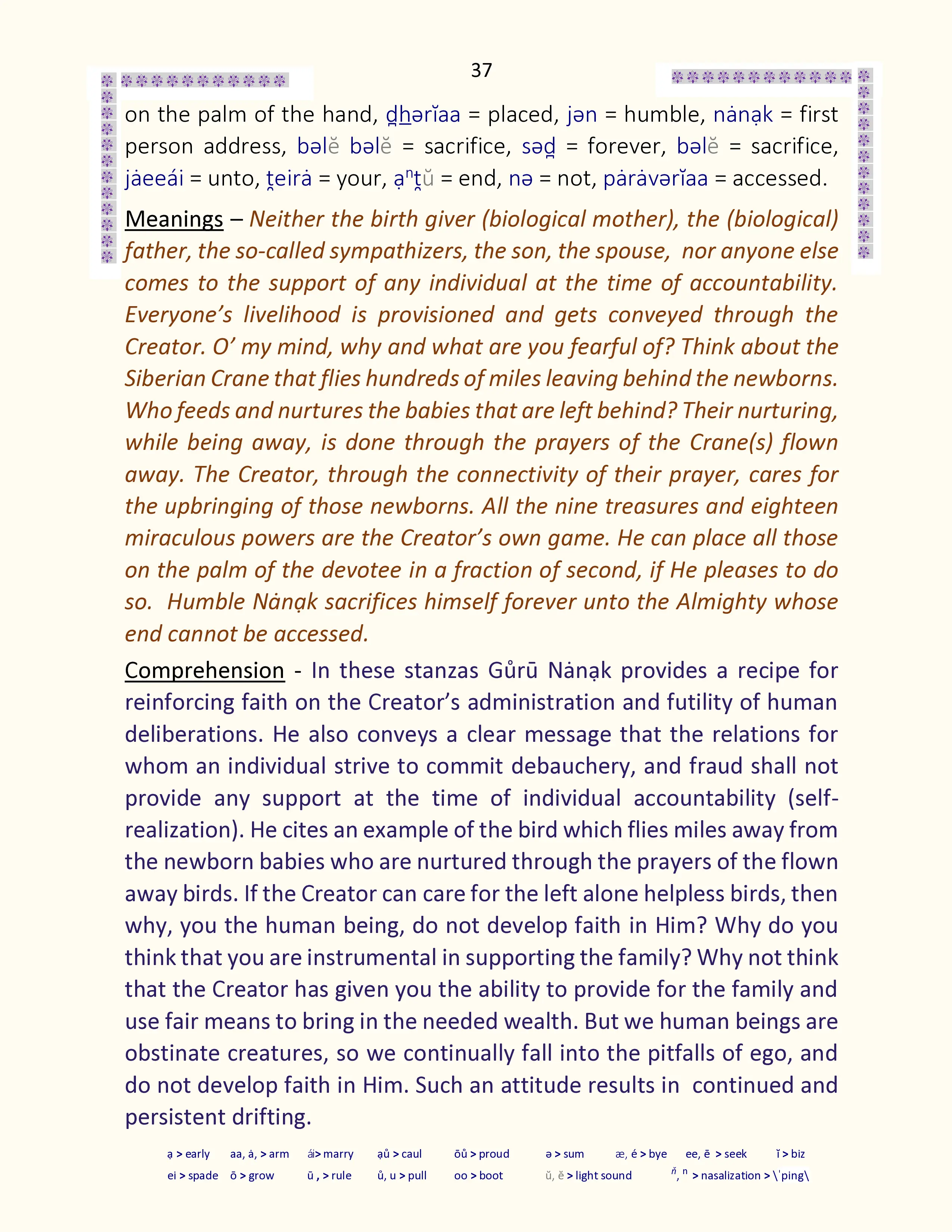 Image 37