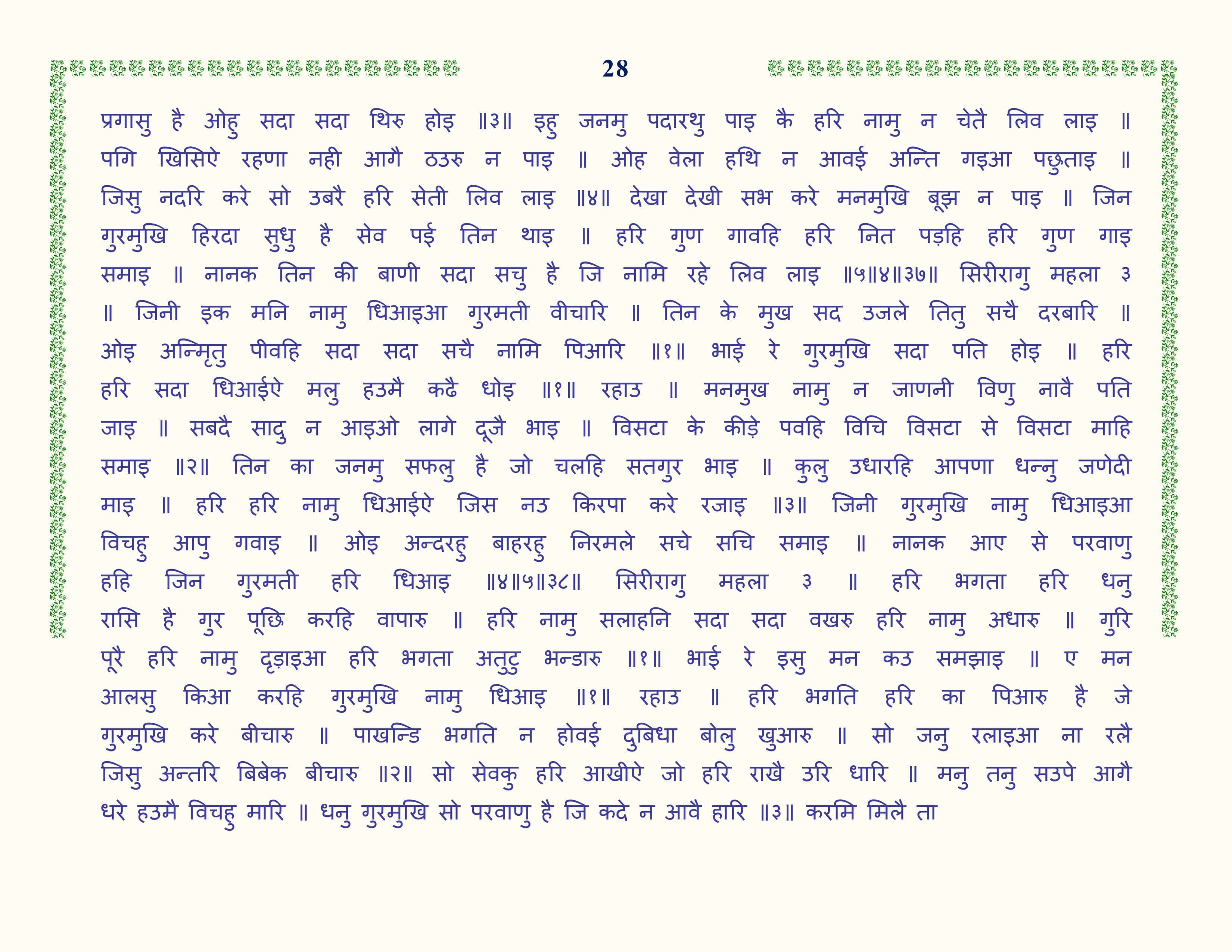 Image 29