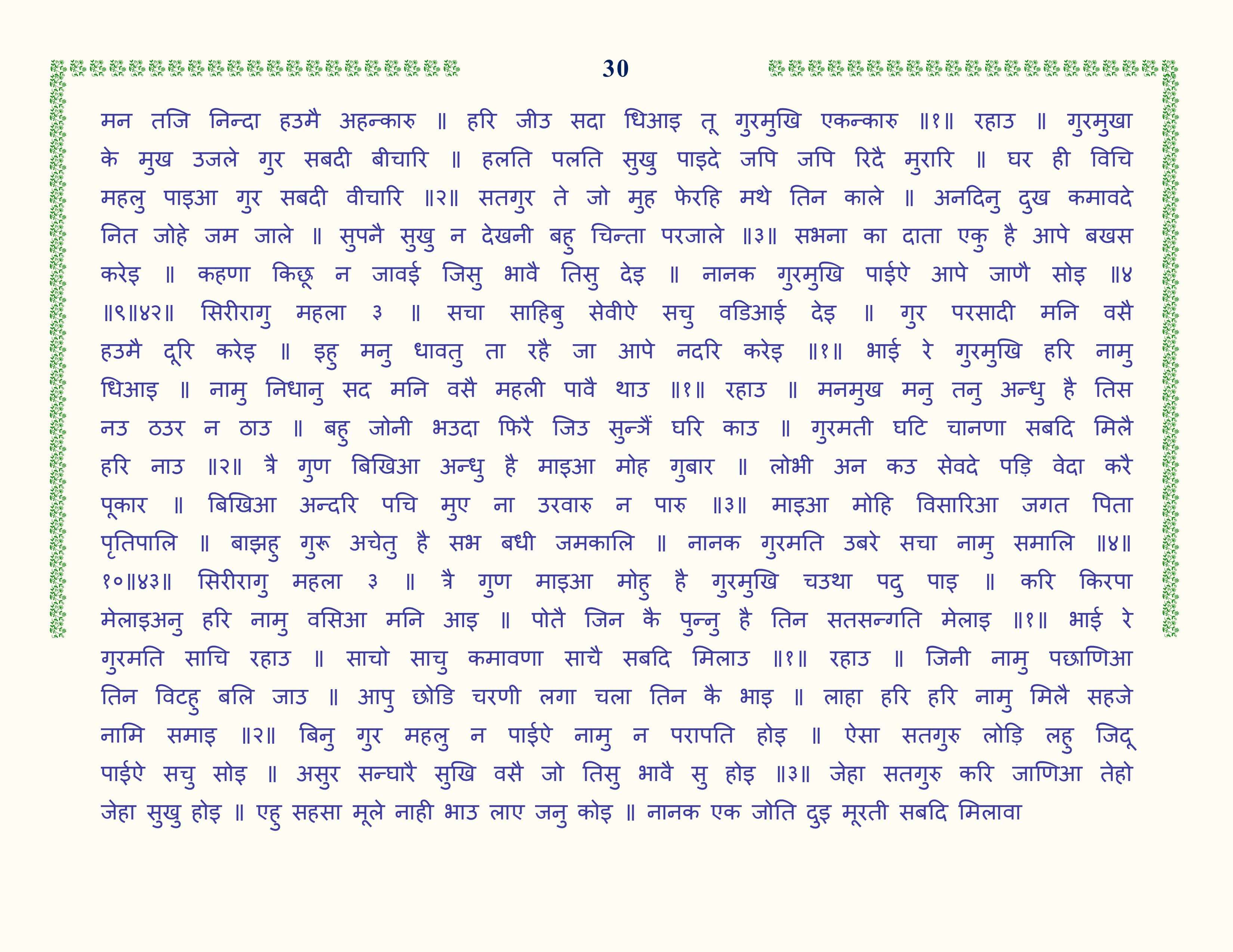 Image 31